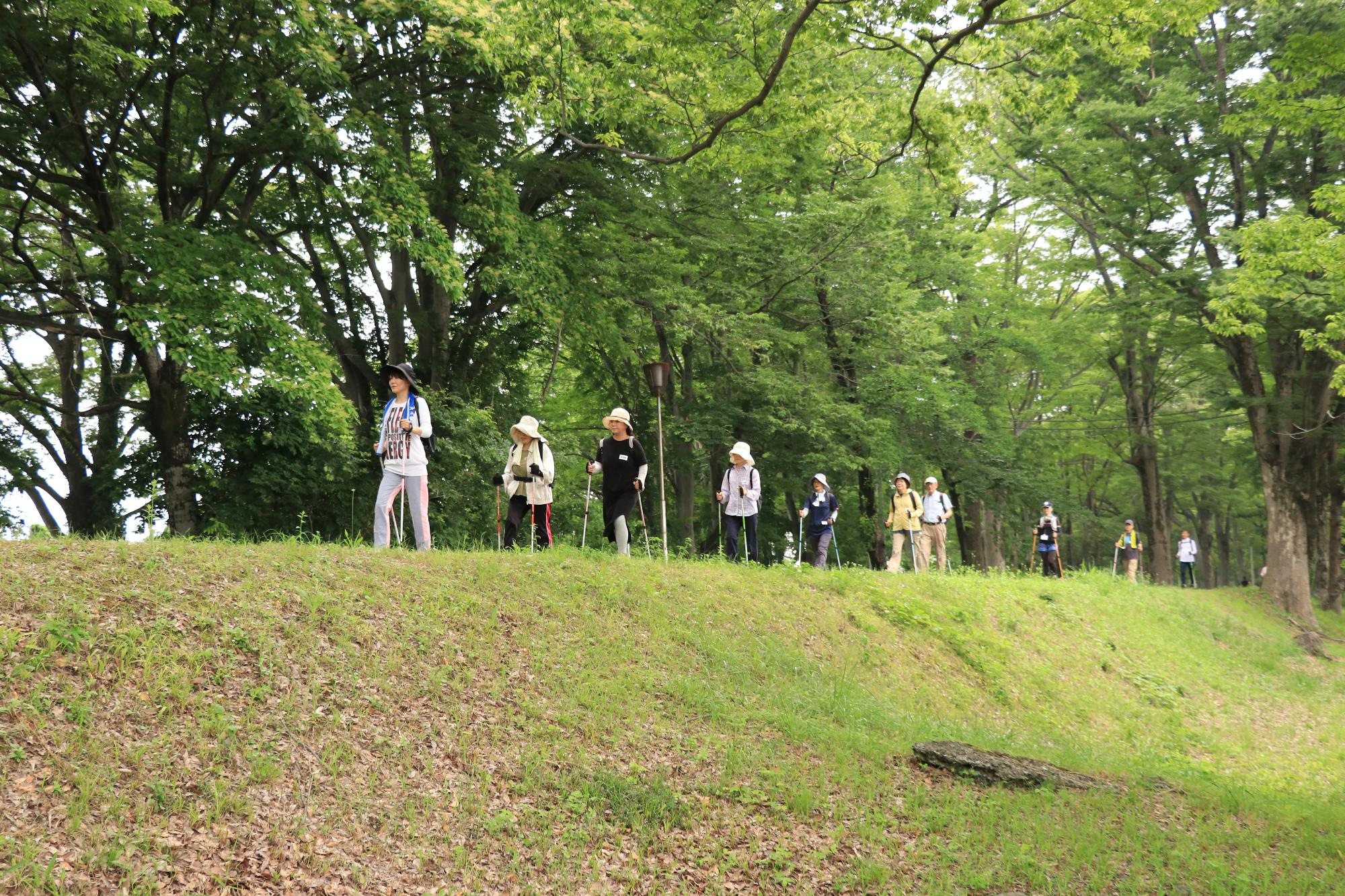 初夏のウォーキング教室