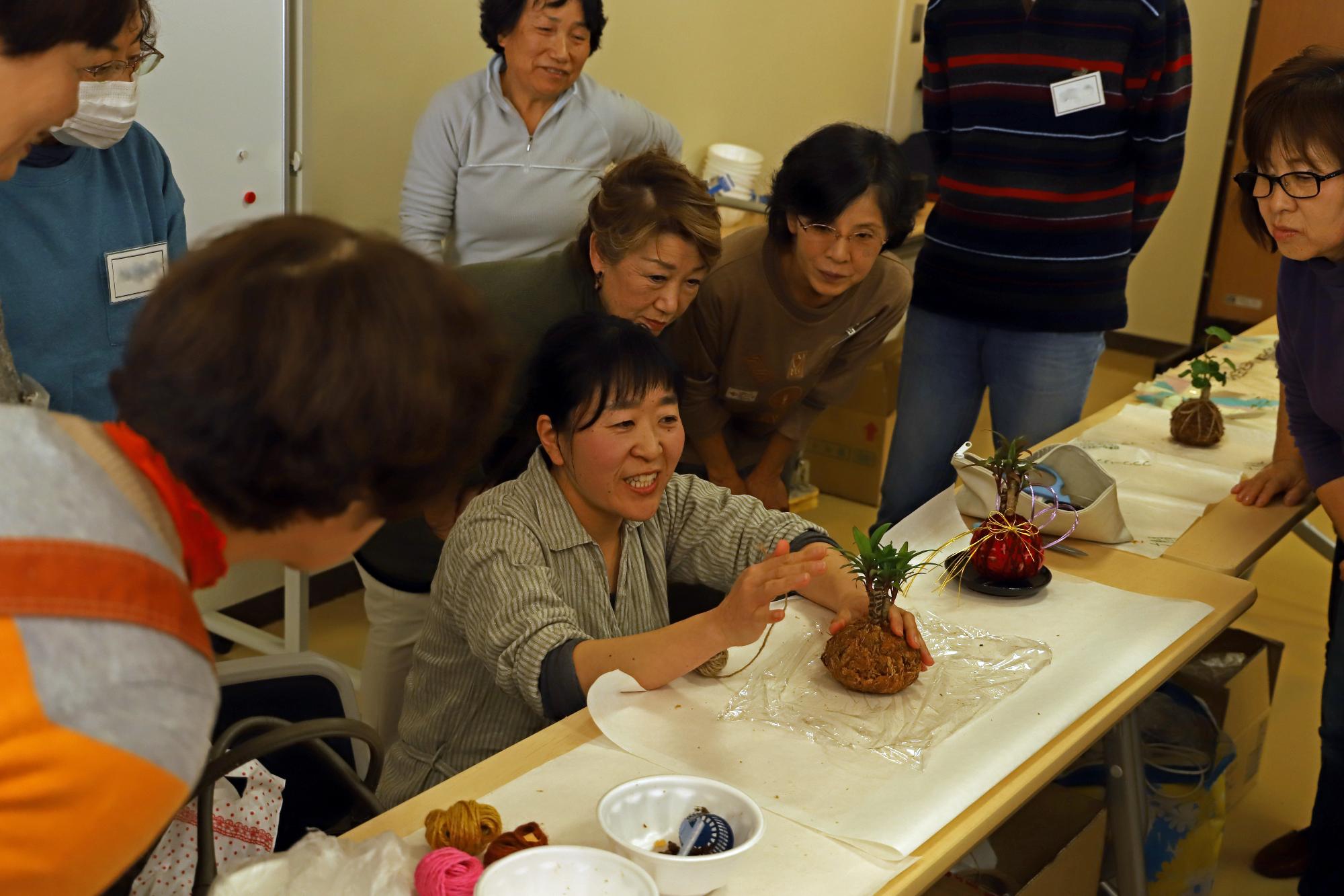 卓上に飾れる苔玉作り講座