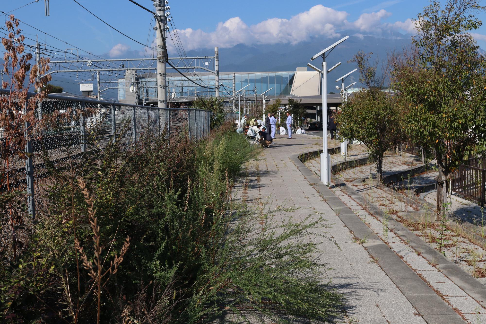 甲府地区建設業協会が草刈ボランティア