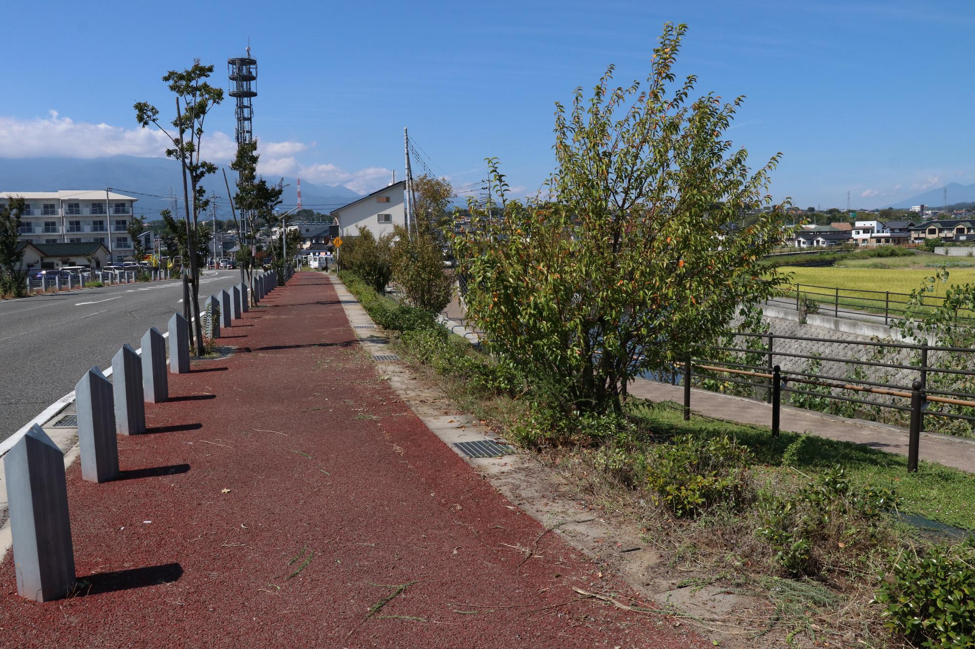 甲府地区建設業協会が草刈ボランティア