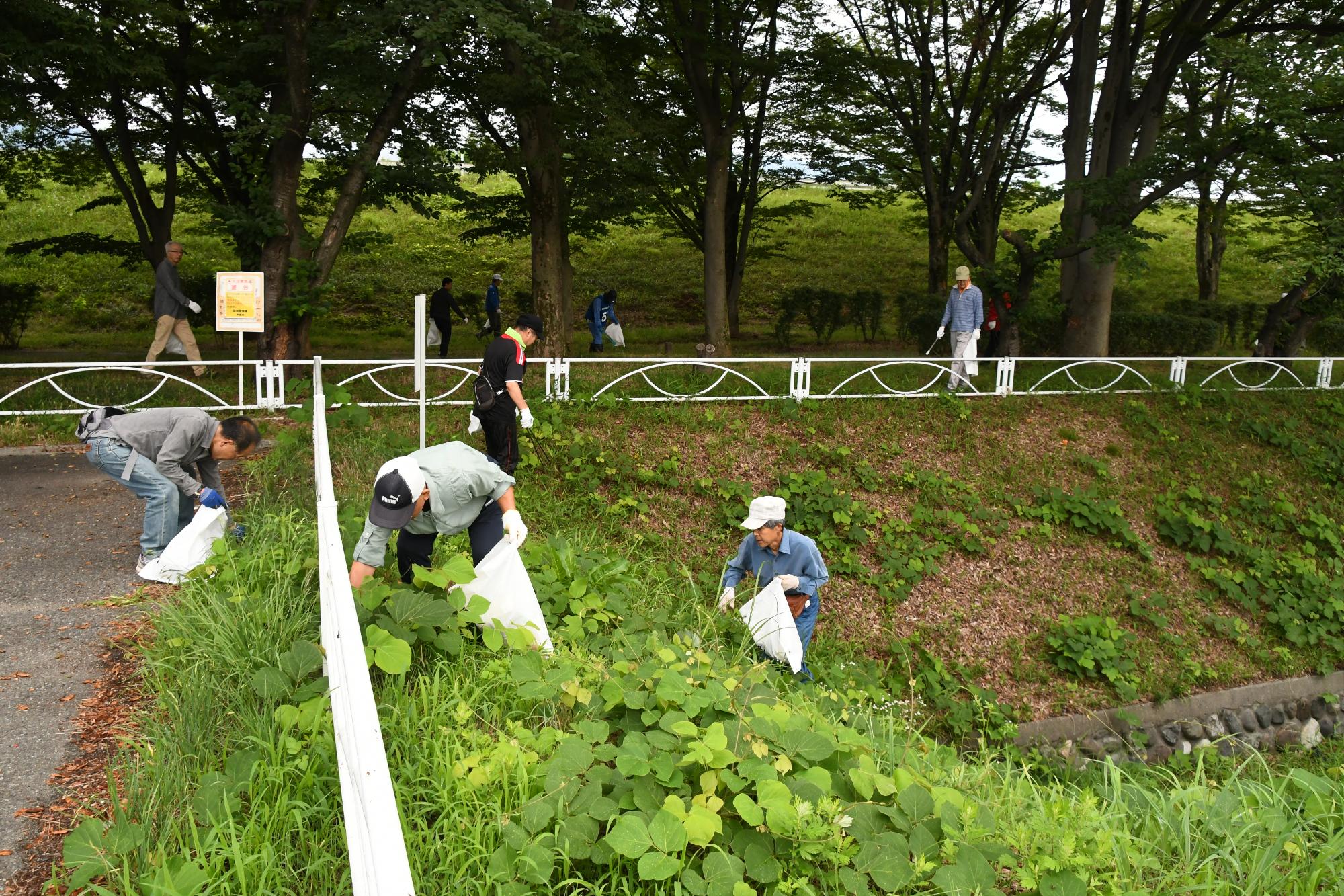 富士川流域一斉河川清掃の様子