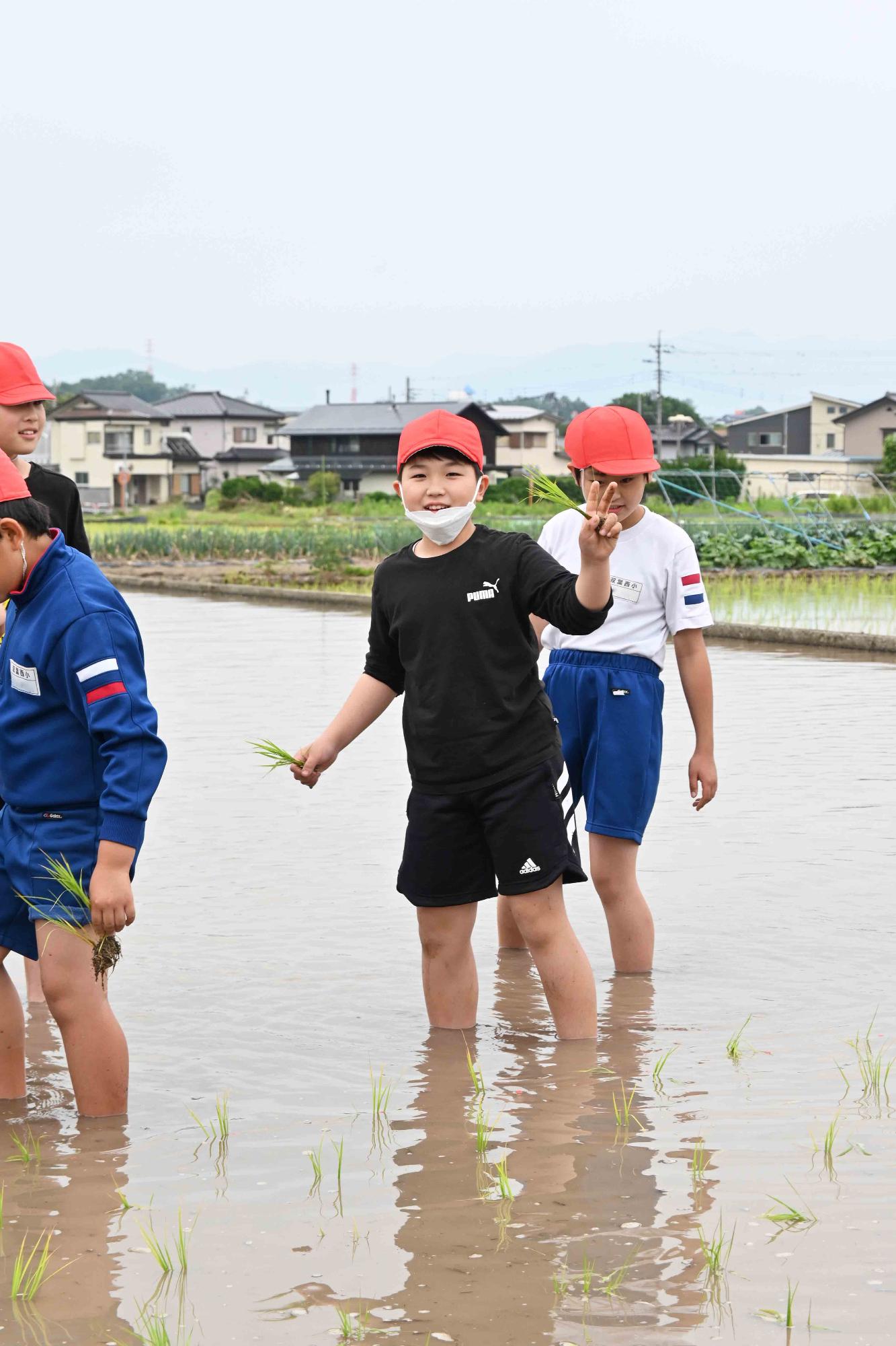 双葉西小田植え6401