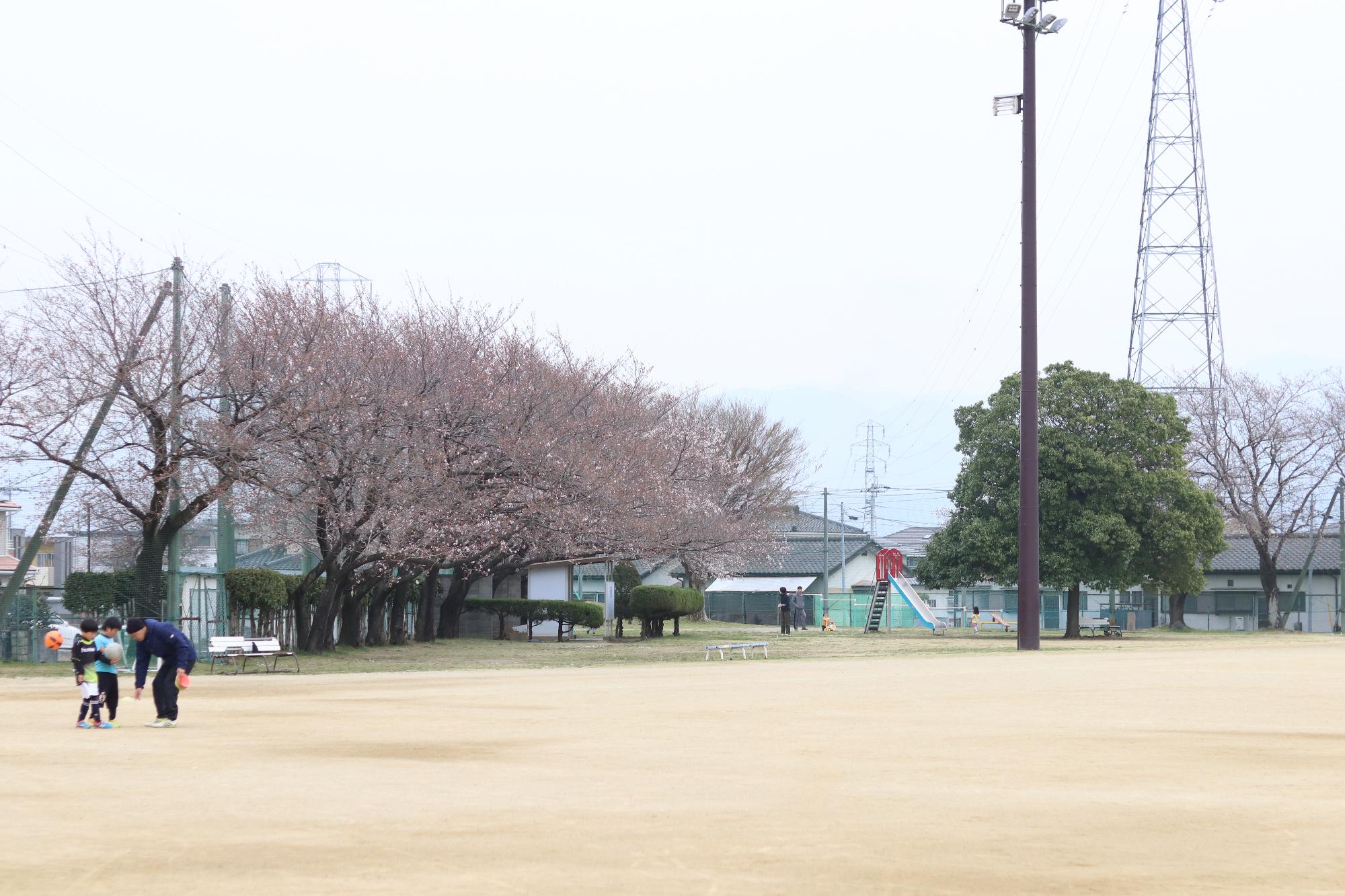 南部公園の桜 2019年3月30日4