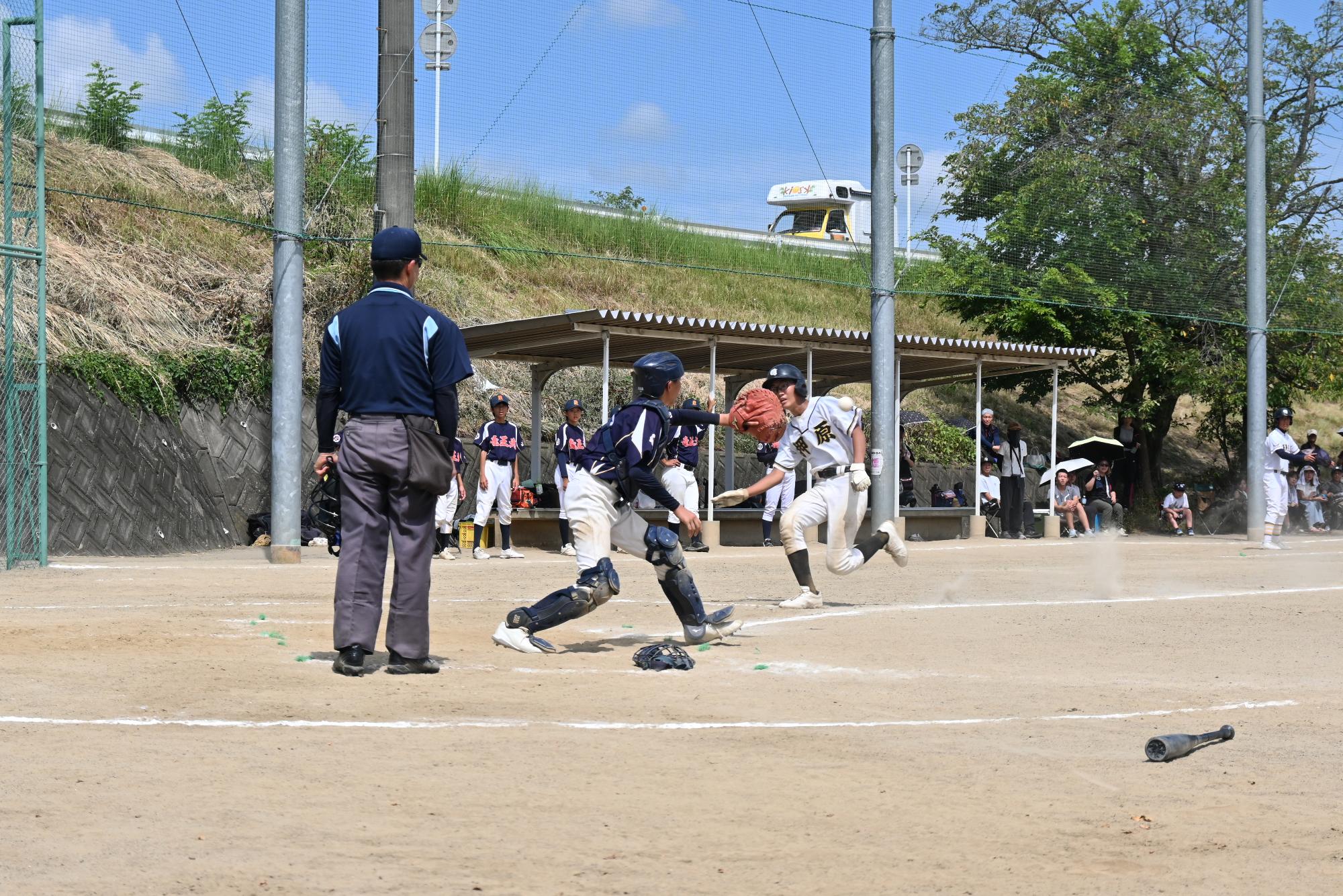 ロータリー中学野球2401