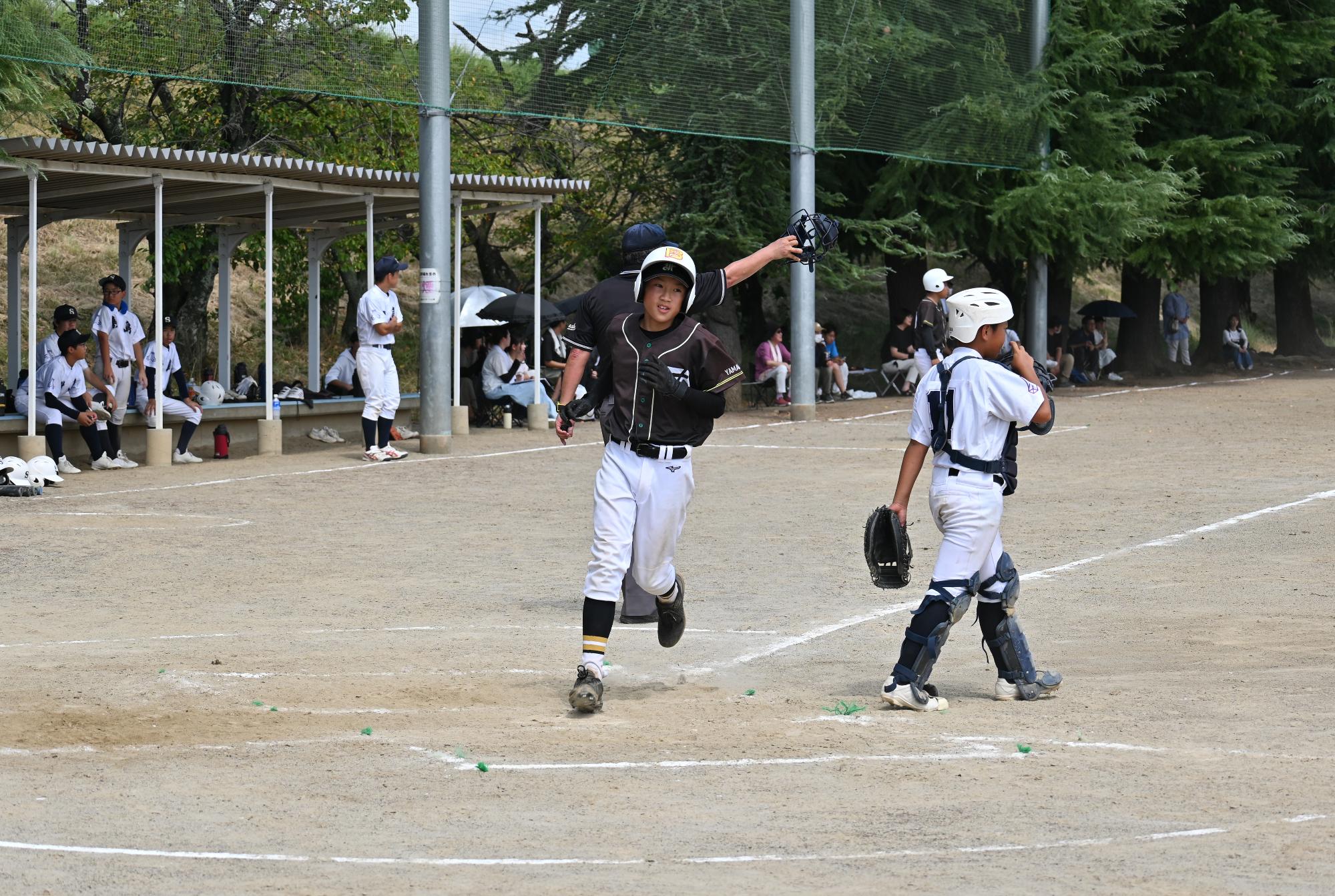 ロータリー中学野球2450