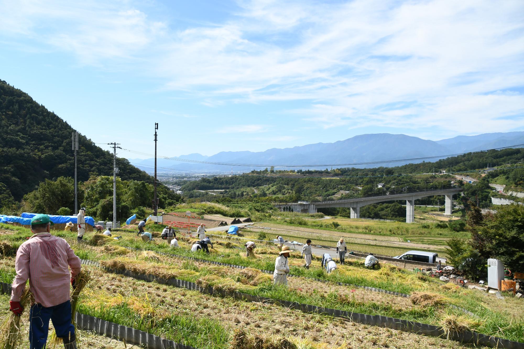 棚田の様子