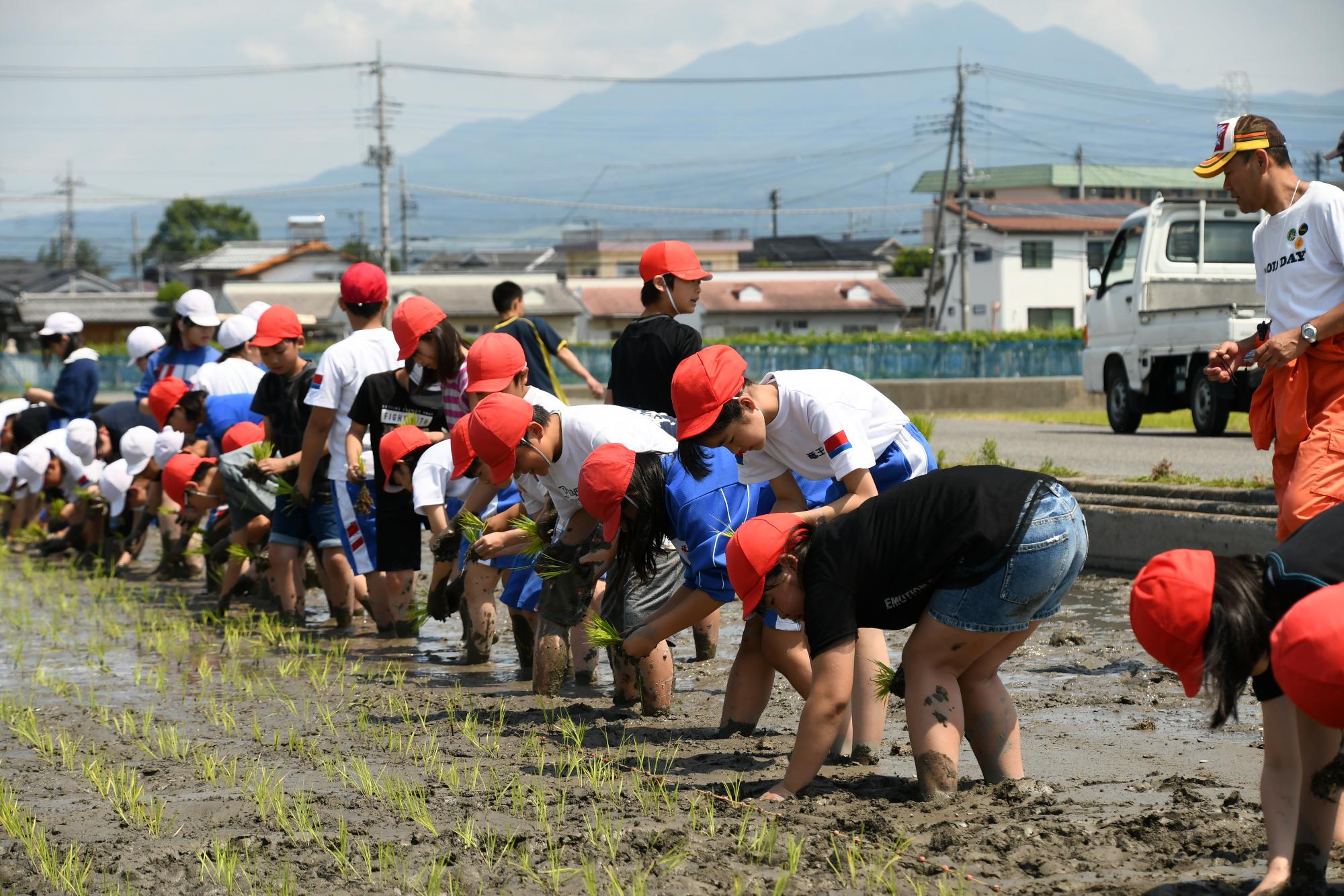 田植えの様子