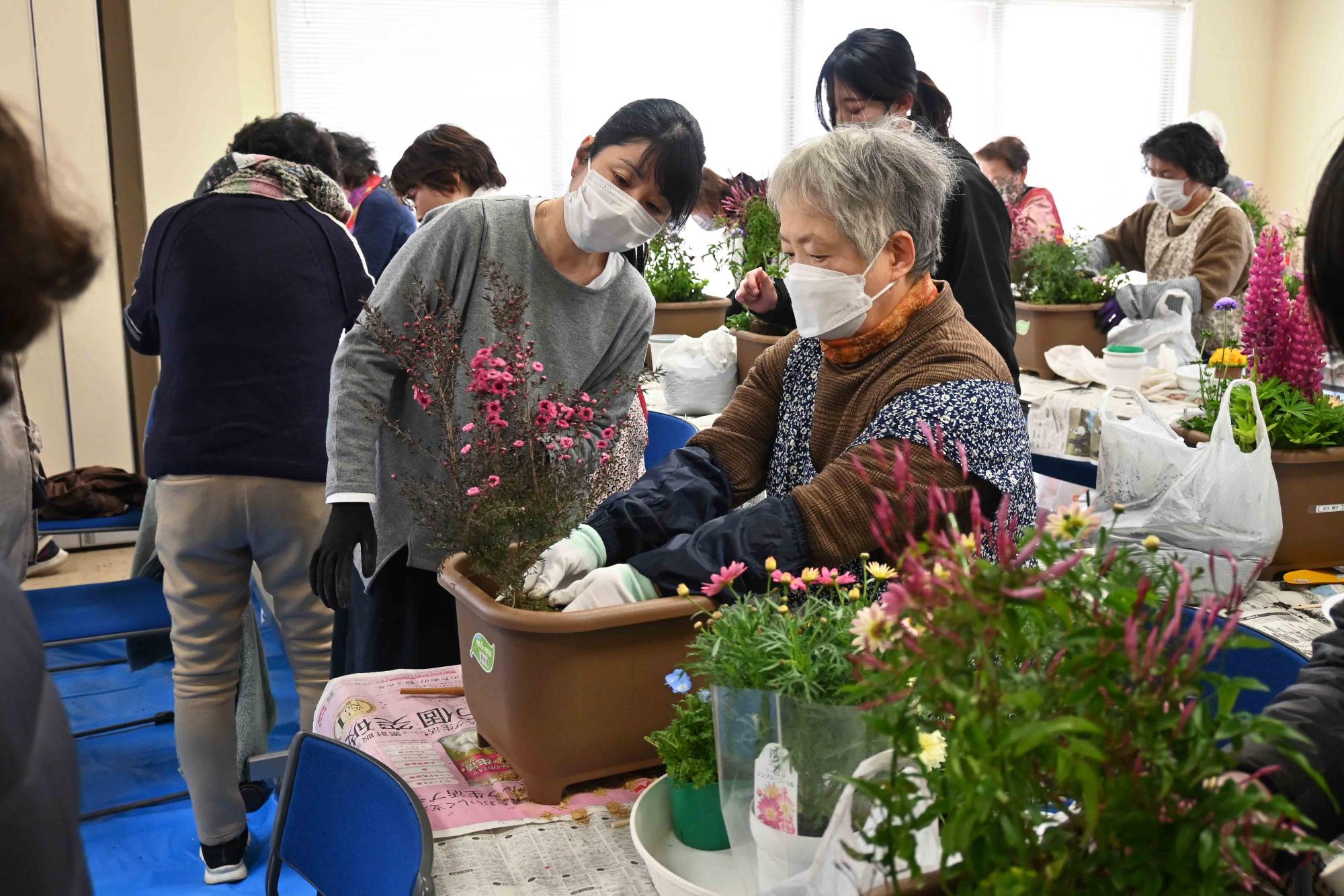 ふれ愛寄せ植え教室5781