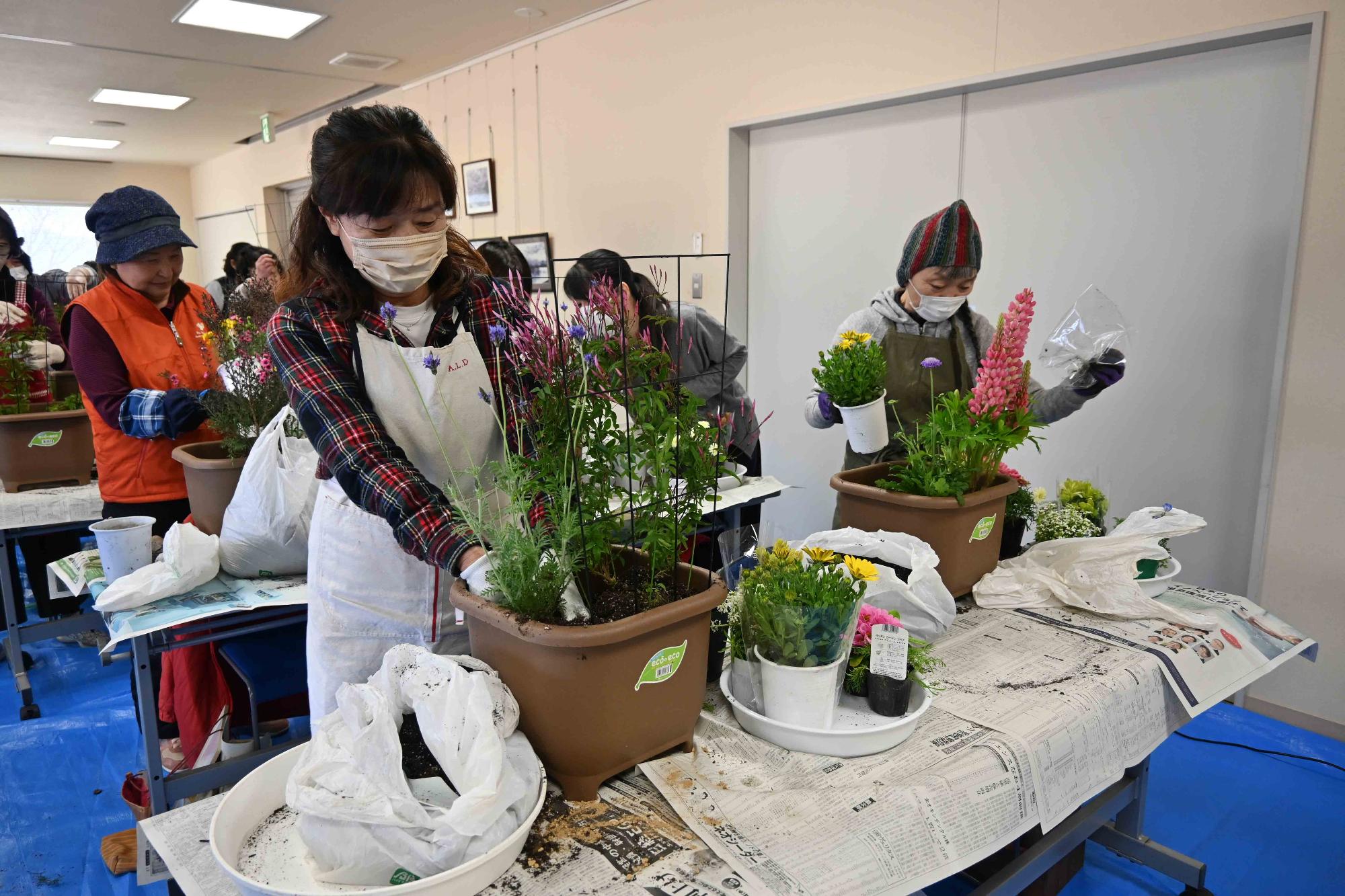 ふれ愛寄せ植え教室5799