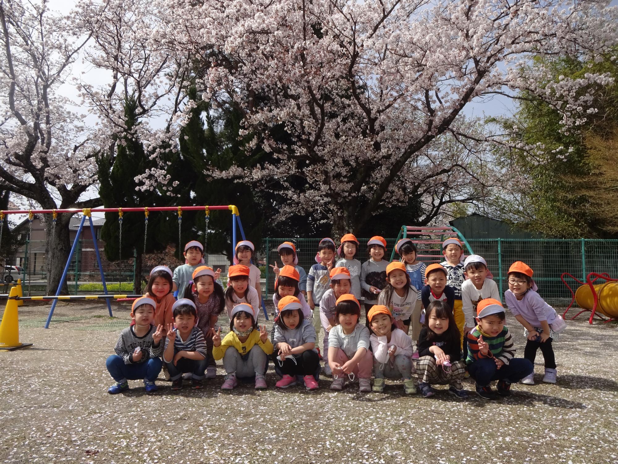 桜の前で集合写真を撮るさくら組さんです。