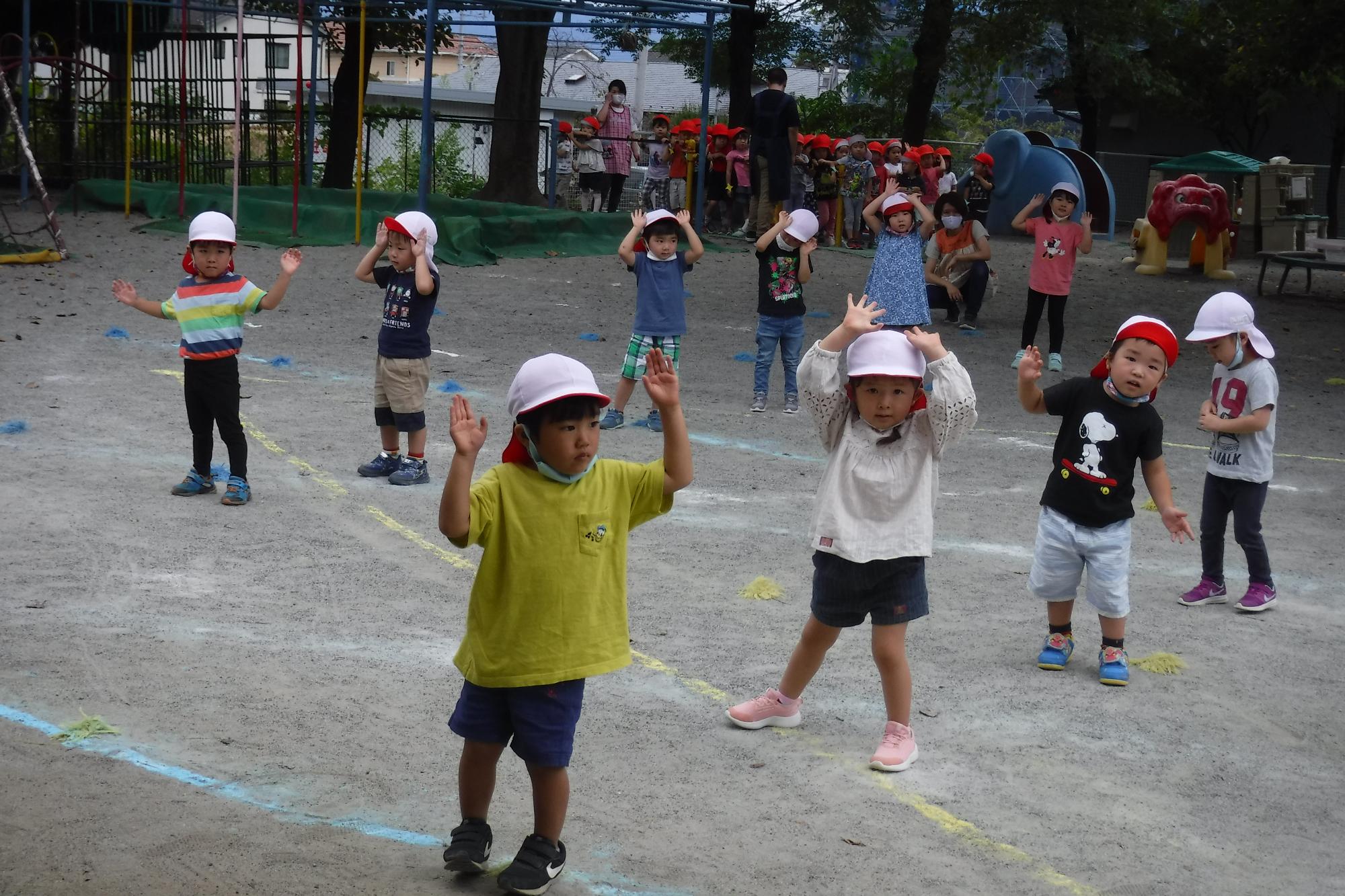 年少 お遊戯の写真