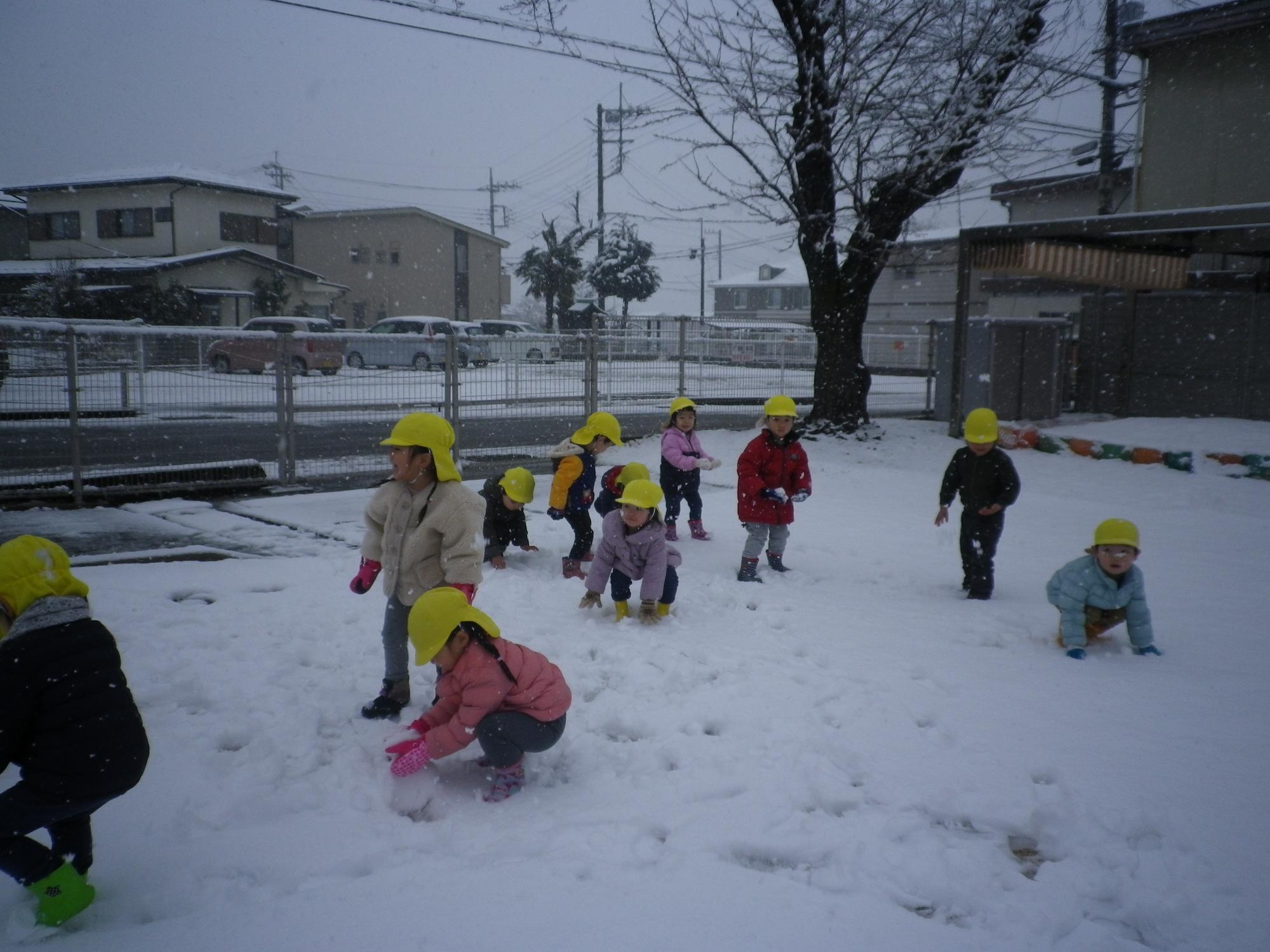 雪遊びをする2歳児