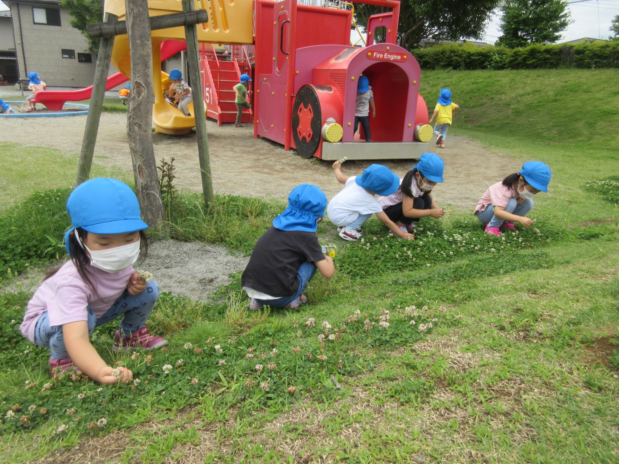 あお防災公園へお散歩