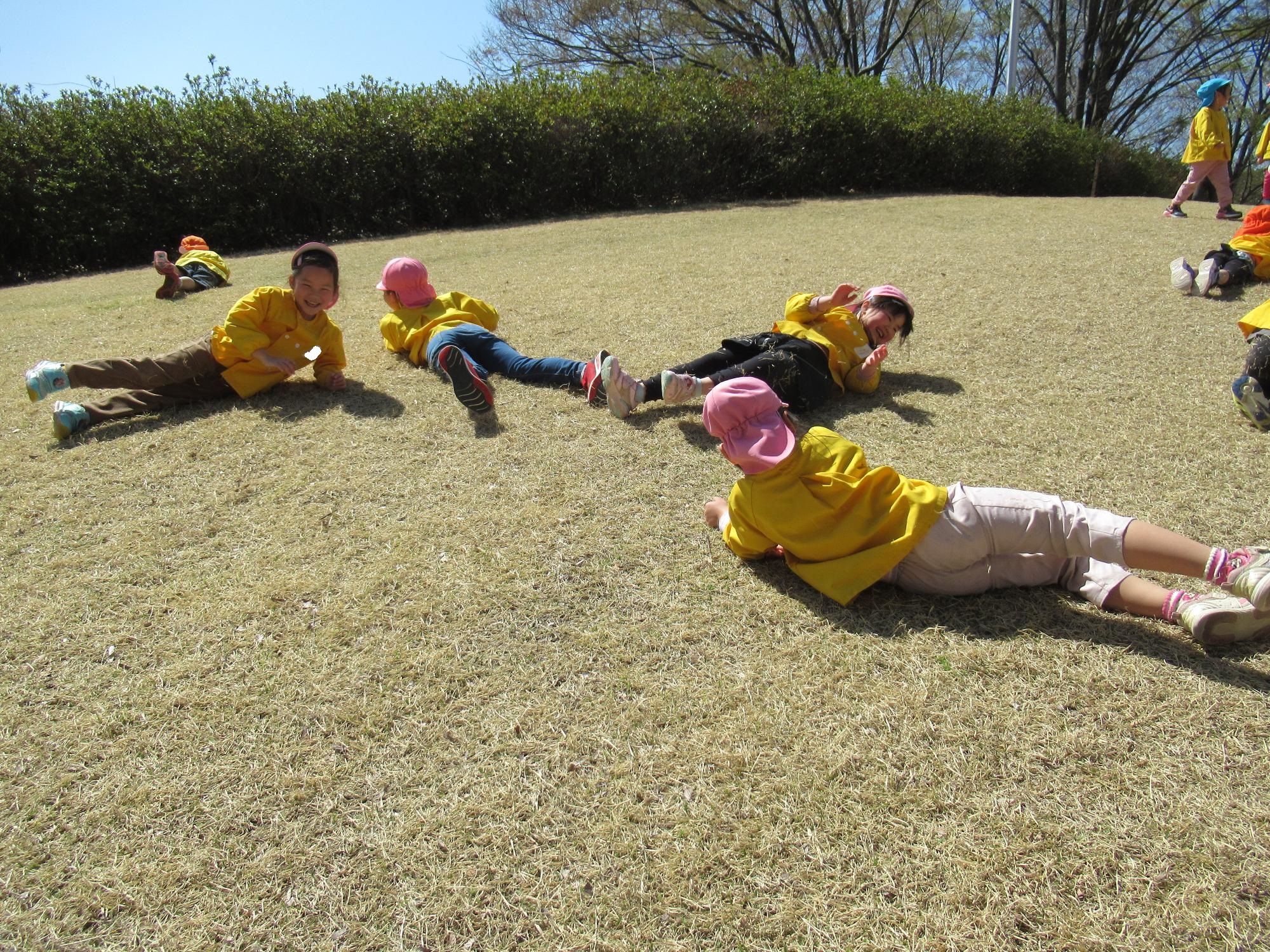 ひまわり組が芝すべりを楽しんでいる写真