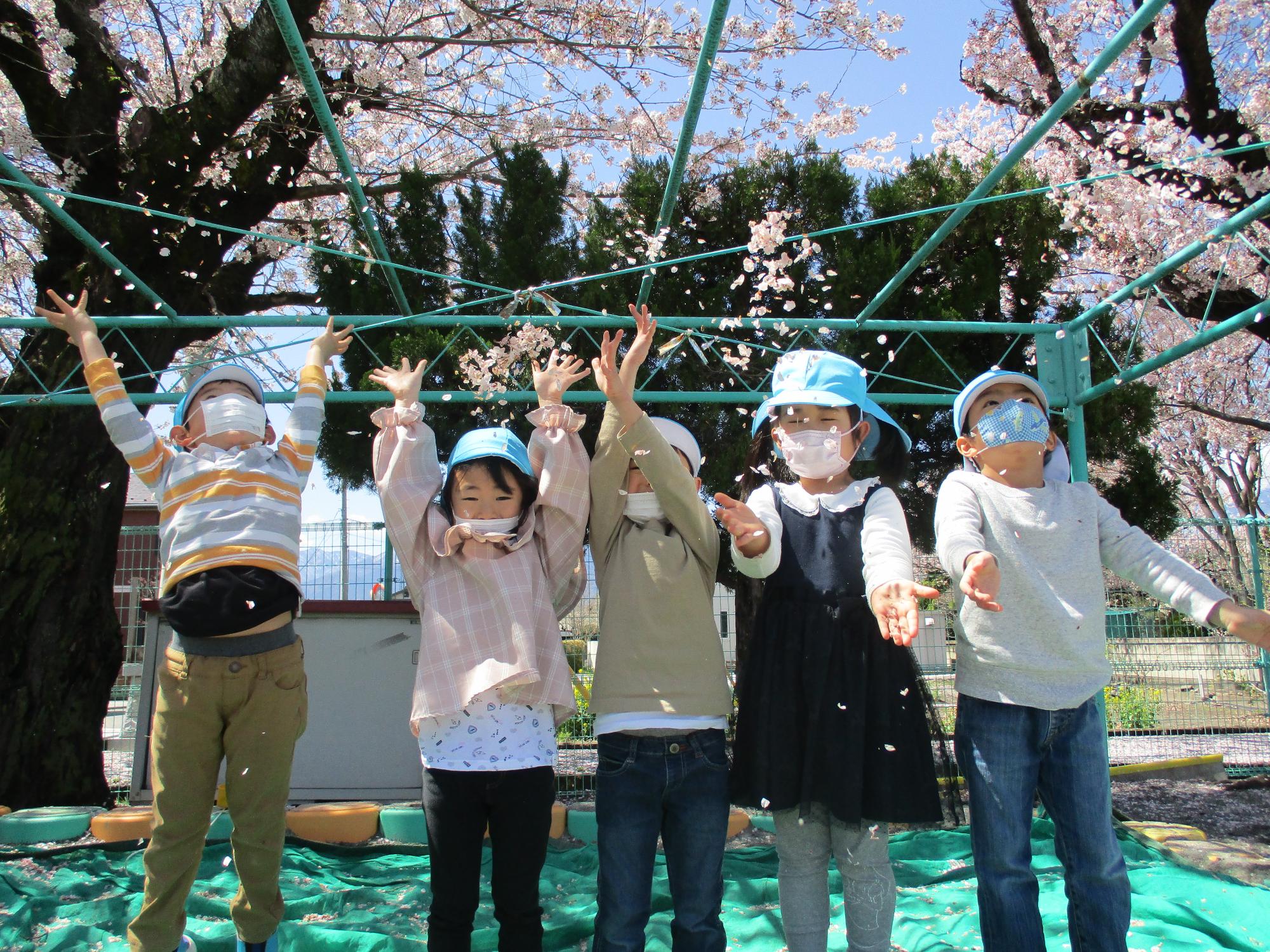 桜の花びらを投げて楽しむひまわり組の子ども達です。