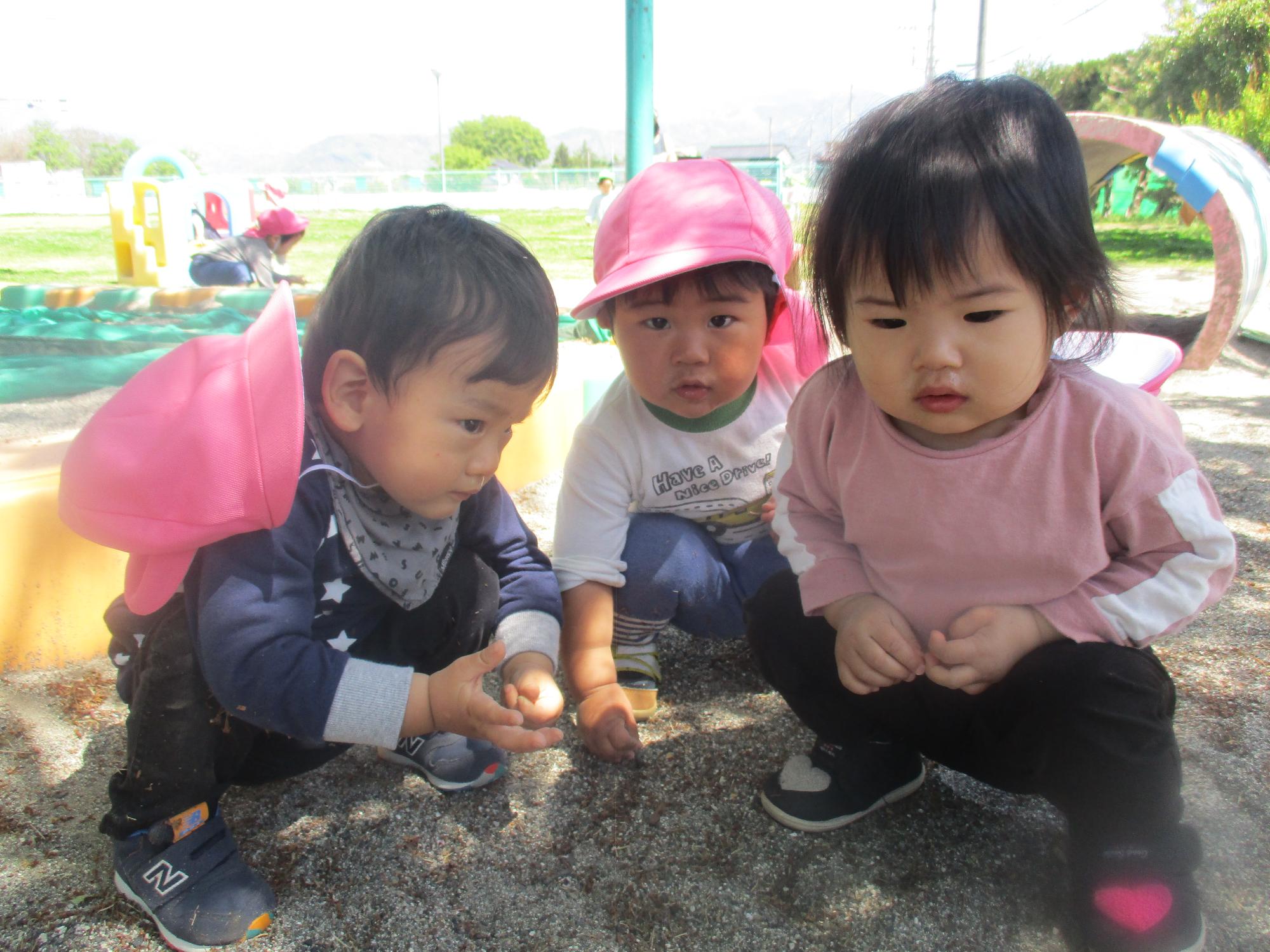 砂遊びを楽しむつぼみ1組の子ども達です。