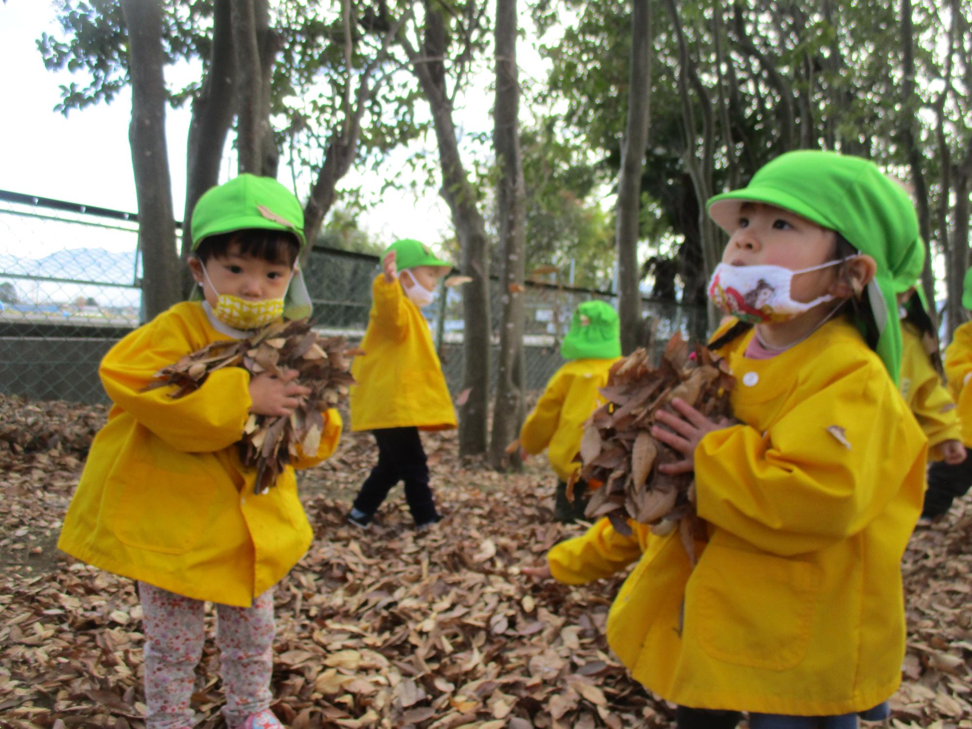 公園であそぶつぼみ2組の子どもたちの様子です。