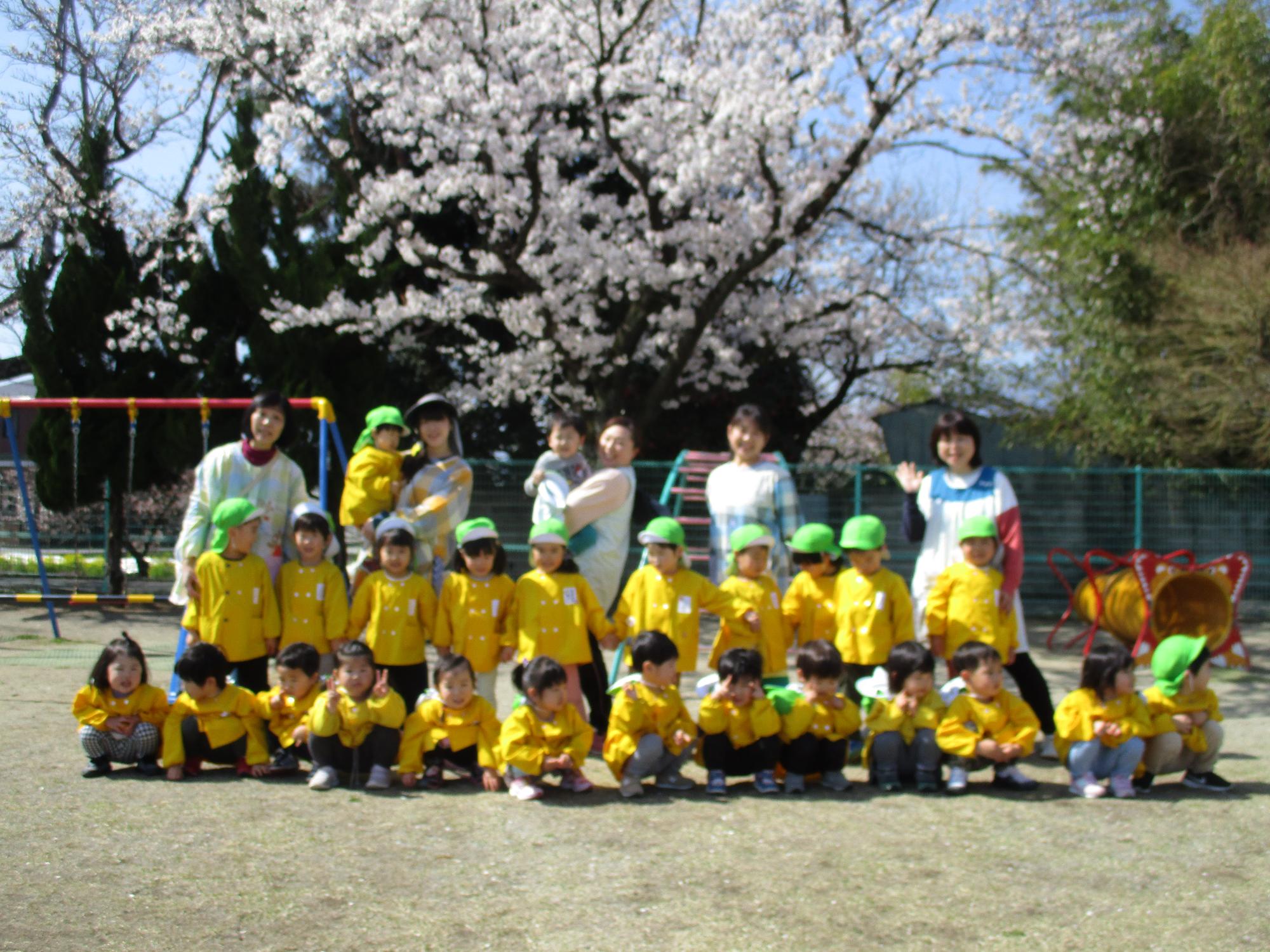 桜の前で写真を撮るつぼみ2組さんです。