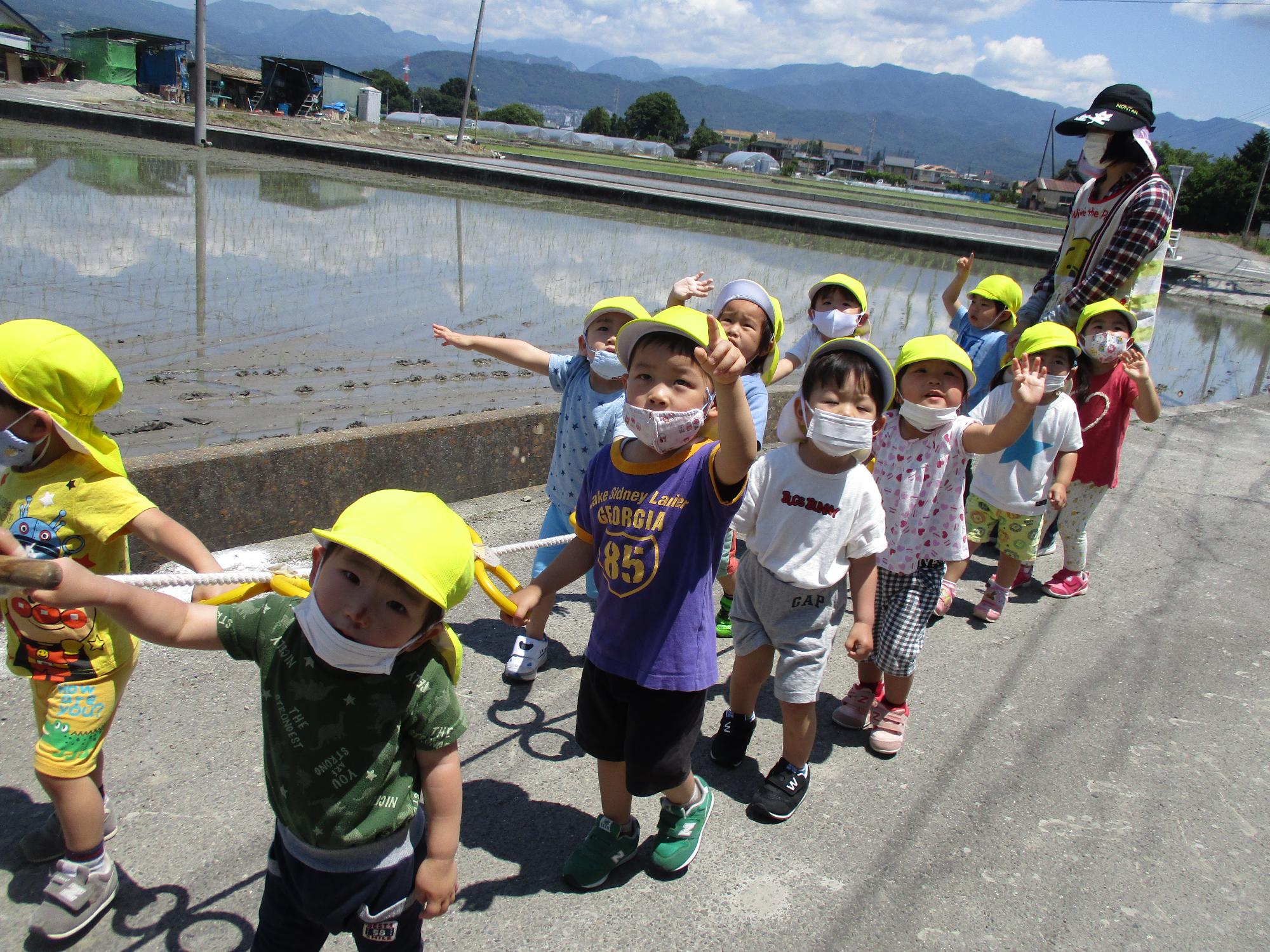 散歩を楽しむつぼみ2組の子ども達です。