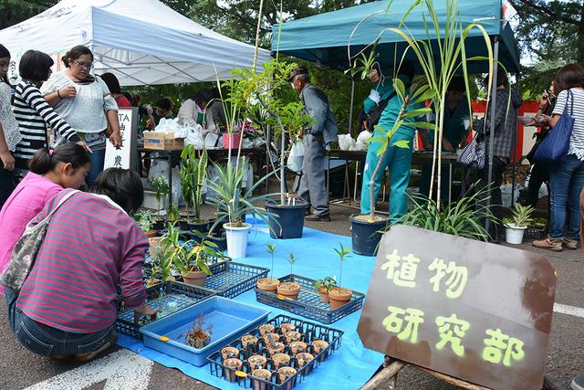 「植物研究部」と書かれた模擬店で植物の苗が売られている写真