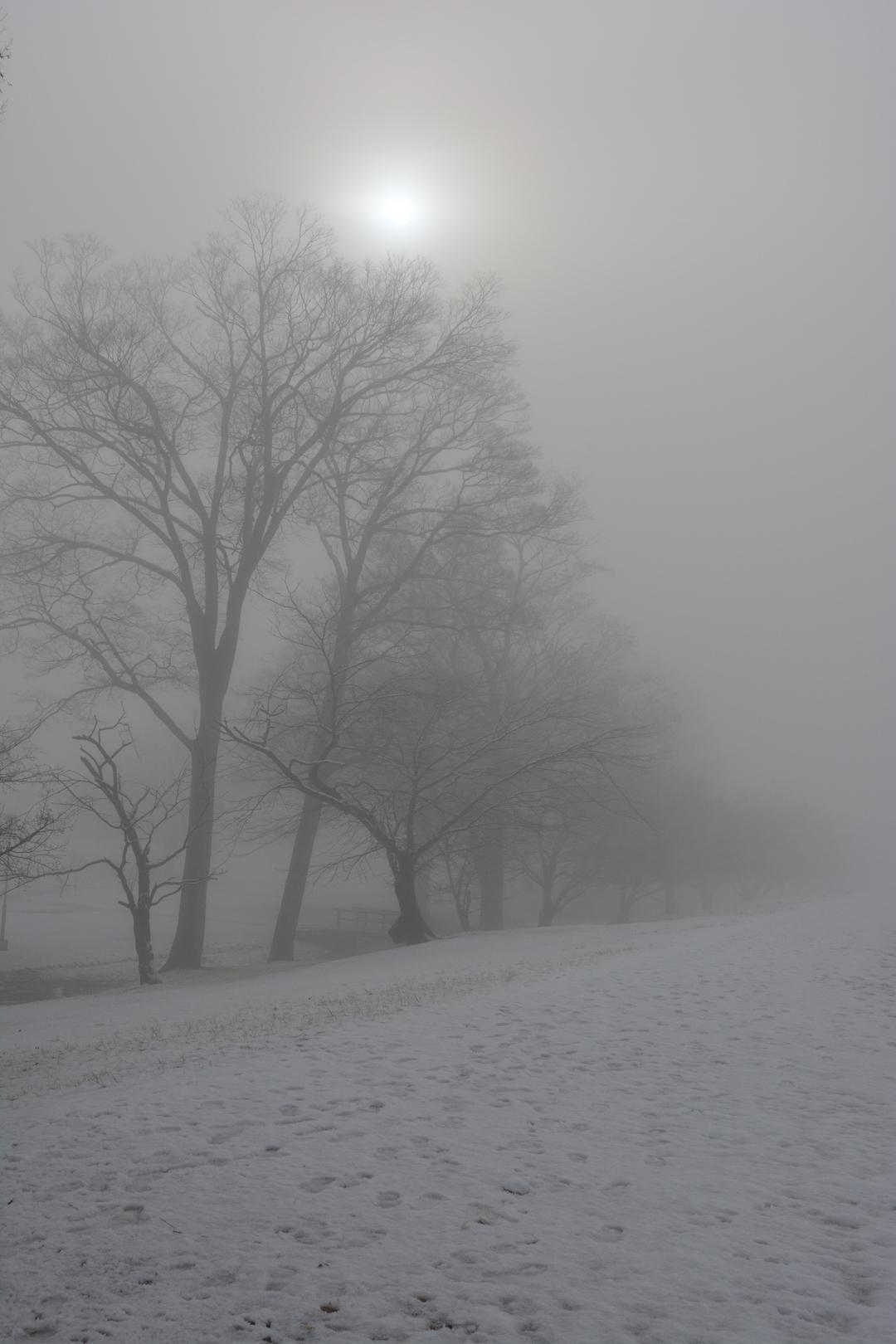 信玄堤・冬の景色の写真