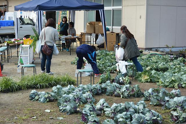 生徒が育てた野菜を収穫している写真