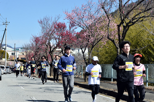 (写真)ランナーと梅の花