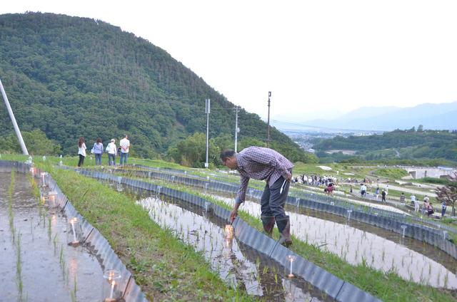 たんぼに並べられたろうそくに火をつけている写真