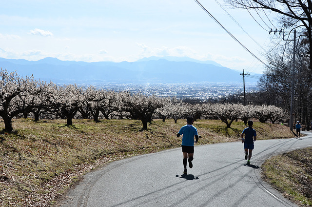 (写真)風景を楽しみながら走るランナー