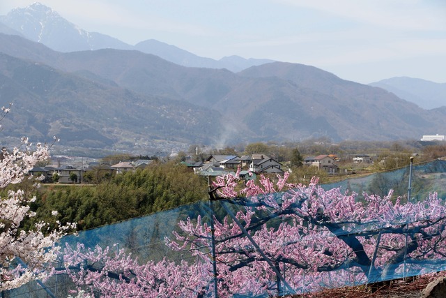 (写真)宇津谷地区から撮影した韮崎市の狼煙