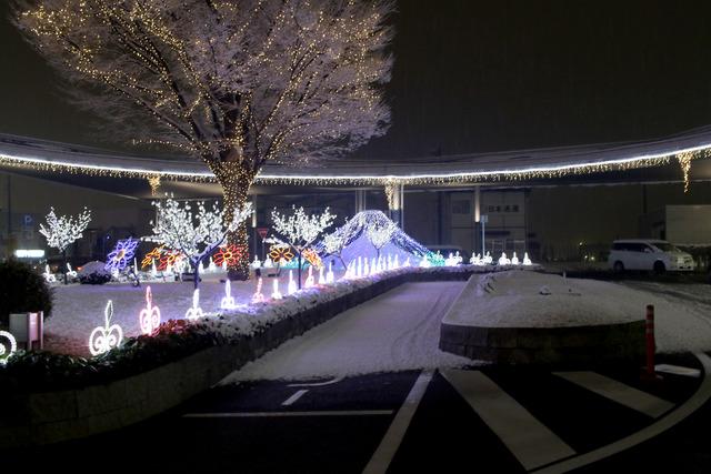 (写真)雪が積もった竜王駅南口森のイルミネーションの様子