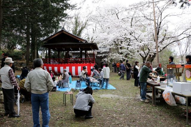 満開の桜の木と舞台の周りに沢山の人が集まっている写真