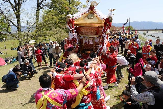 赤い浴衣を着て女装した大勢の男性が川沿いの土手で神輿を担いでいる写真