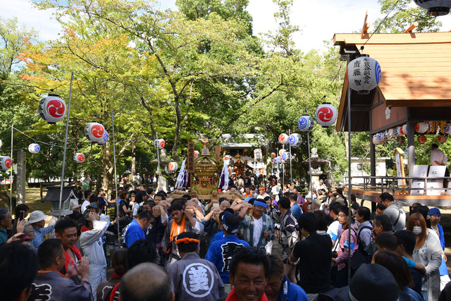 (写真)学問神輿の担ぎ手たち