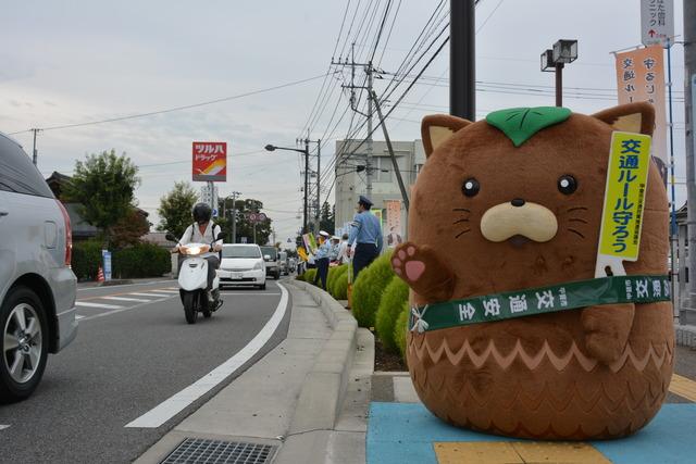 やはたいぬと道路を走る車の写真