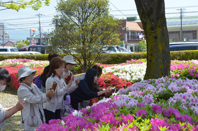 ツツジの花の撮影を行っている参加者たちの写真