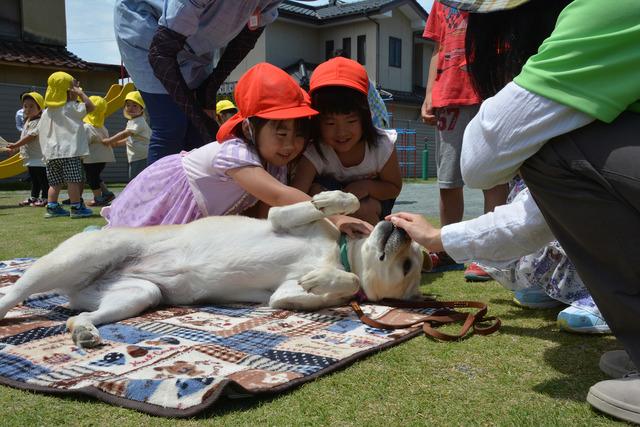 犬とのふれあいタイムの写真3