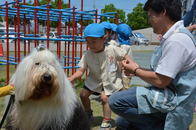 犬とのふれあいタイムの写真1