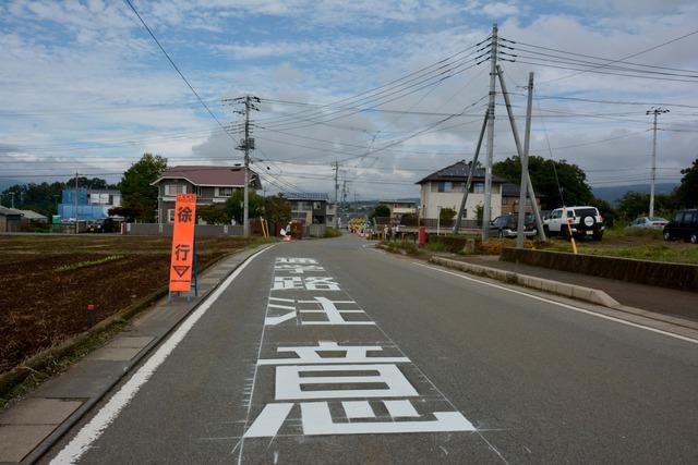 地面に白い文字で書かれた「通学路注意」の標示の写真