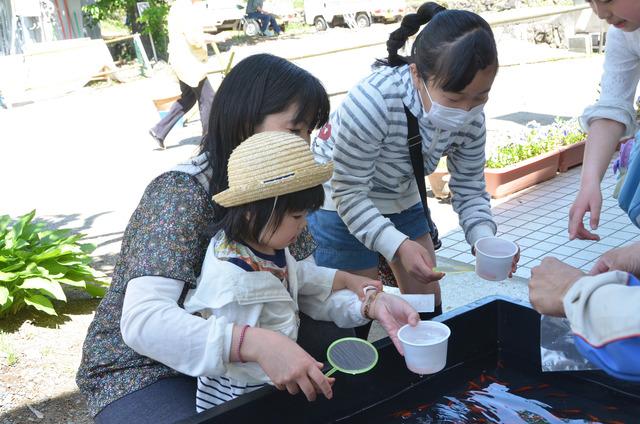 子ども祭りの様子の写真3