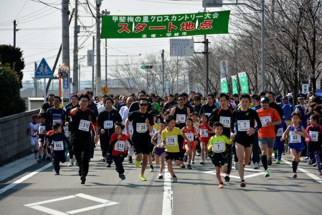 (写真)親子ファミリーの2.5キロメートルの部がスタート