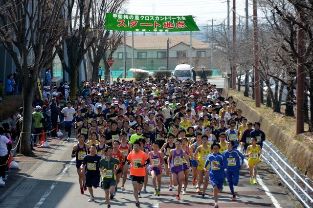 (写真)5キロメートルコースのスタート地点の様子