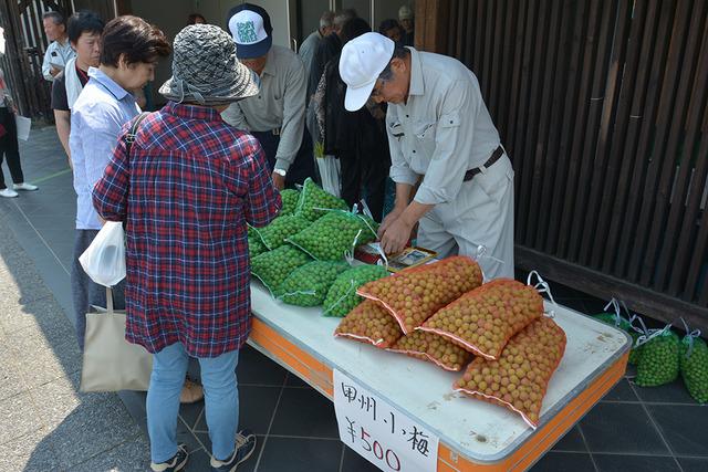 袋に詰められた甲州小梅がたくさん販売されている写真