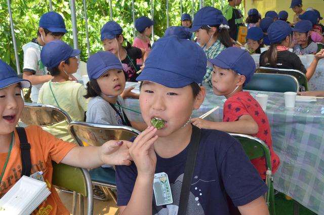 取れたての桑の葉の天ぷらを美味しそうに食べる子ども達の写真