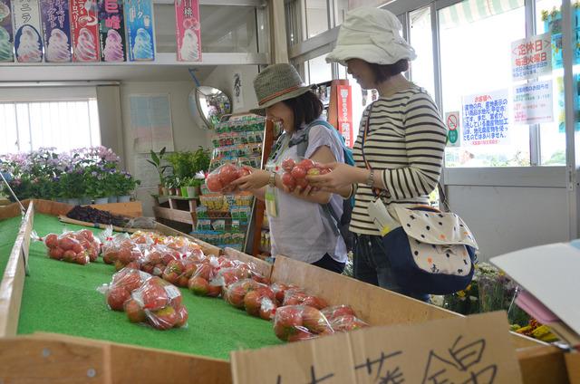 「双葉農の駅」で、トマトを手にとって選んでいる参加者たちの写真