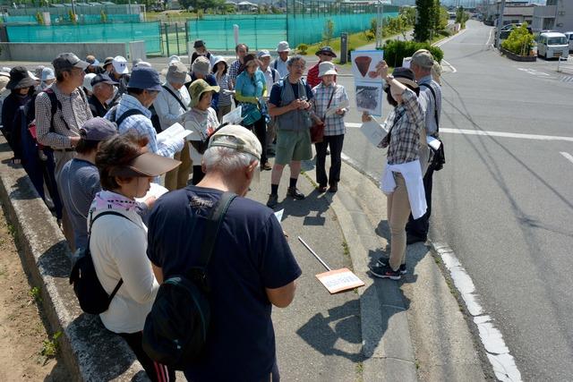 畠中さんの解説を大勢の参加者が聞いている写真