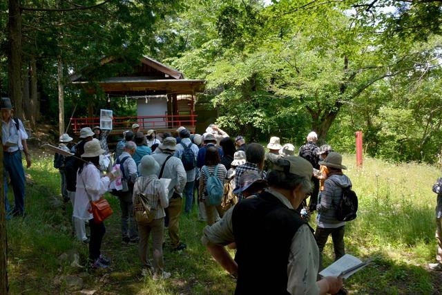参加者たちが緑が生い茂る子神社の神楽殿を見学する写真