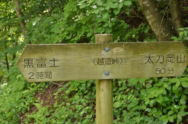 登山道の標識の写真