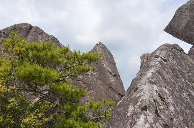 太刀岡山の写真3