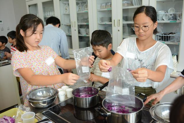 ムラサキキャベツの煮汁を作っている小学生の写真
